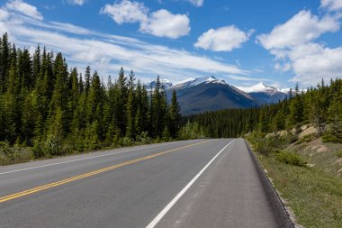 Kanada Jasper Ulusal Parkı 'ndaki Icefield Parkway manzarası