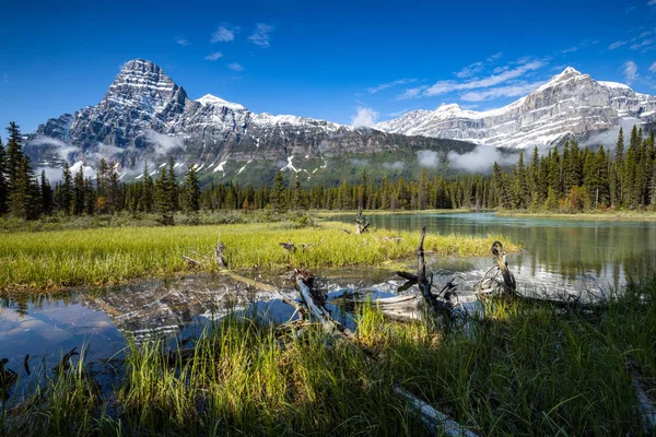 Paysage Promenade Des Glaciers Dans Parc National Jasper Canada — Photo