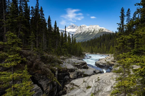 Kaňon Mistaya Kanadských Skalistých Horách — Stock fotografie