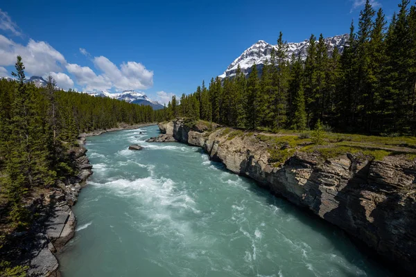 Mistaya Kanyon Kanadai Sziklás Hegységben — Stock Fotó