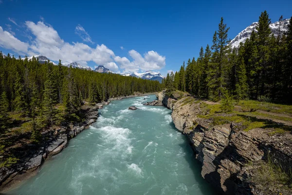 Cañón Mistaya Las Montañas Rocosas Canadá —  Fotos de Stock