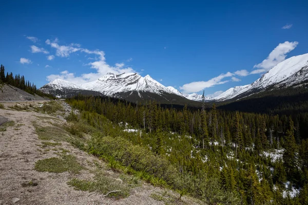 Krajobraz Icefield Parkway Parku Narodowym Jasper Kanadzie — Zdjęcie stockowe