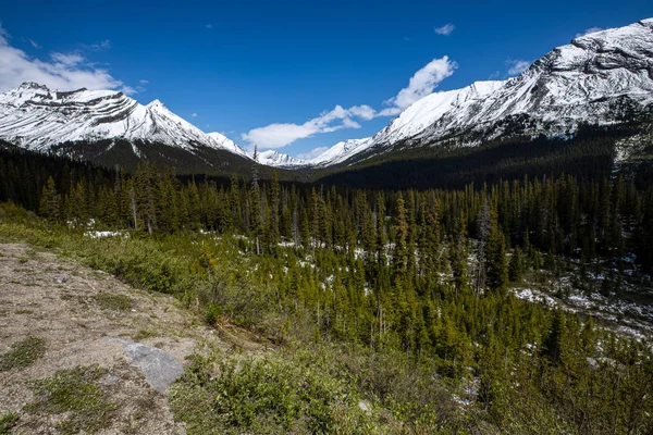 加拿大贾斯珀国家公园Icefield人行道景观 — 图库照片