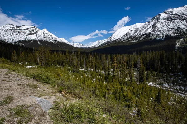 Landskap Icefield Parkway Jaspers Nationalpark Kanada — Stockfoto