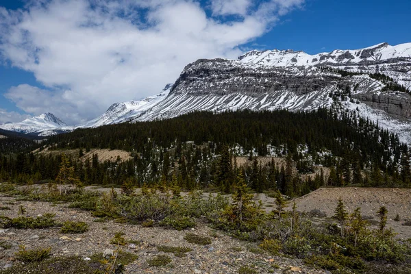 Τοπίο Του Icefield Parkway Στο Jasper National Park Του Καναδά — Φωτογραφία Αρχείου