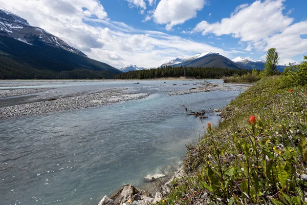 Rio Saskatchewan Nas Montanhas Rochosas Canadá — Fotografia de Stock