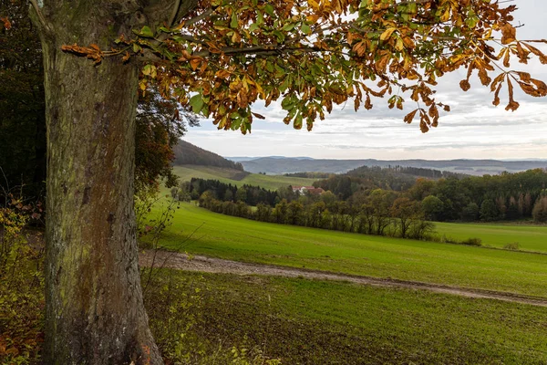 Landschaft Von Herleshausen — Stockfoto