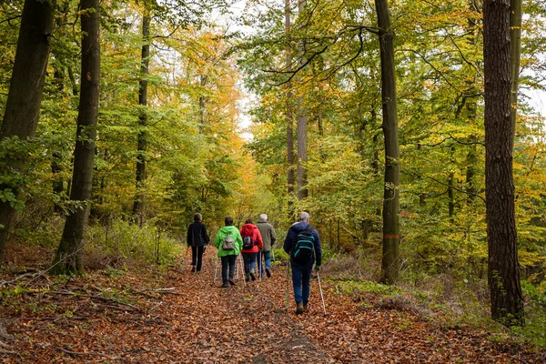 Promenad Och Vandring Höstskogen — Stockfoto