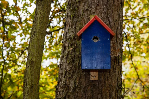 Erdő Birdhouse — Stock Fotó