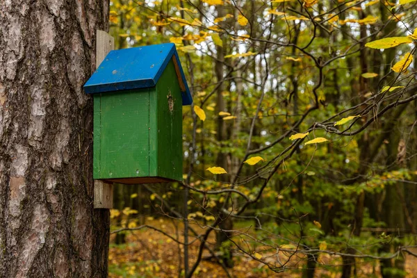 Erdő Birdhouse — Stock Fotó