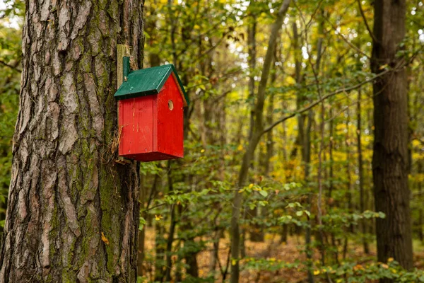 Erdő Birdhouse — Stock Fotó