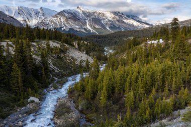 Kanada Jasper Ulusal Parkı 'ndaki Icefield Parkway manzarası