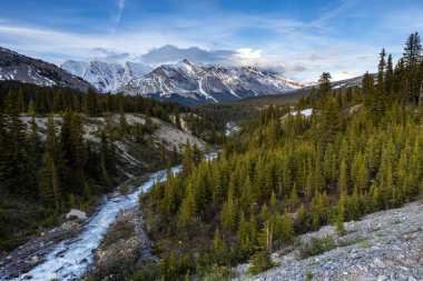 Kanada Jasper Ulusal Parkı 'ndaki Icefield Parkway manzarası