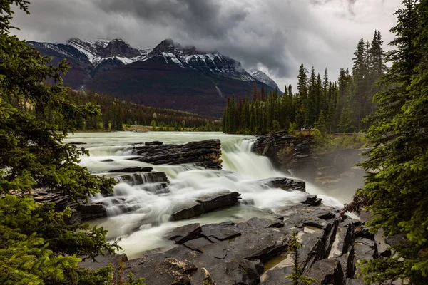 Las Cataratas Athabasca Del Parque Nacional Jasper Canadá —  Fotos de Stock