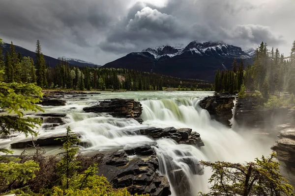 Las Cataratas Athabasca Del Parque Nacional Jasper Canadá —  Fotos de Stock