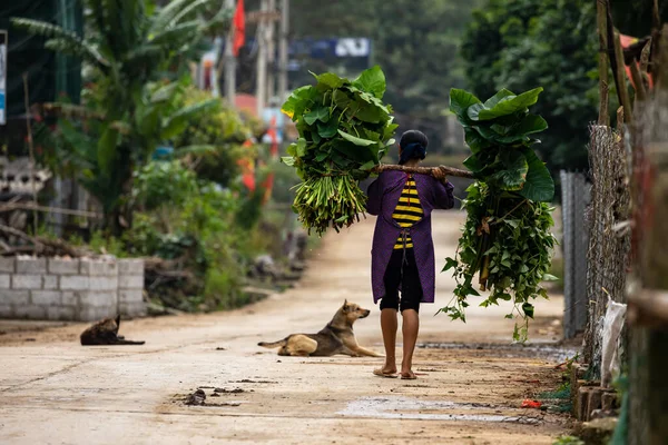 Femme Ferme Vietnam — Photo