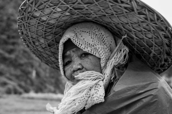 Vieja Con Gran Sombrero Paja Vietnam — Foto de Stock