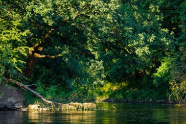 Almanya 'daki Werra Nehri manzarası