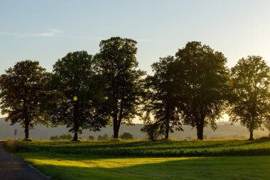 Werra Vadisi 'ndeki sonbahar ormanında yol