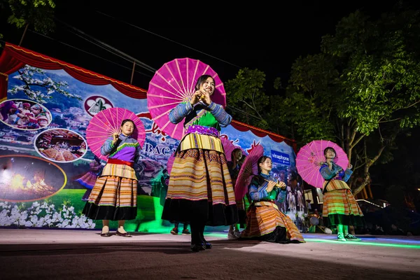 Traditioneel Muziek Dans Festival Bij Bac Vietnam November 2019 — Stockfoto