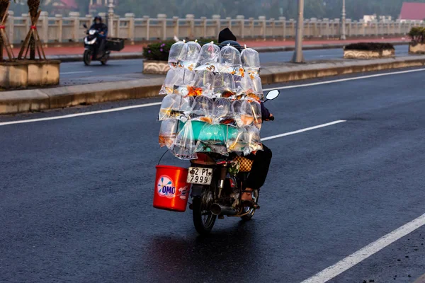 Transport Med Motorcykel Gatorna Hoi Vietnam December 2019 — Stockfoto