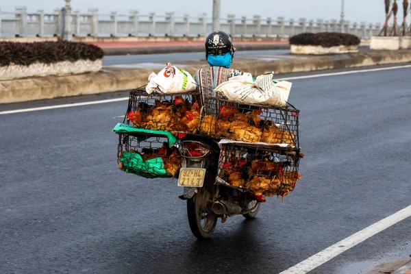 Transport Motocyklem Ulicach Hoi Wietnamie Grudzień 2019 — Zdjęcie stockowe