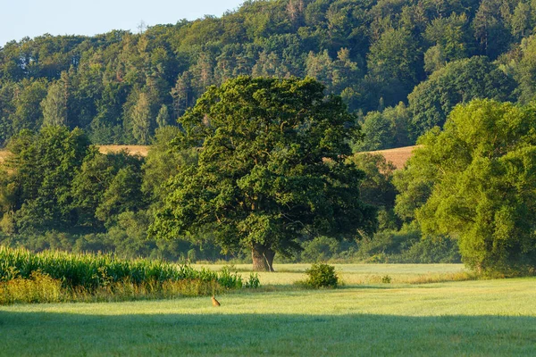 Gammal Stor Werra Valley — Stockfoto