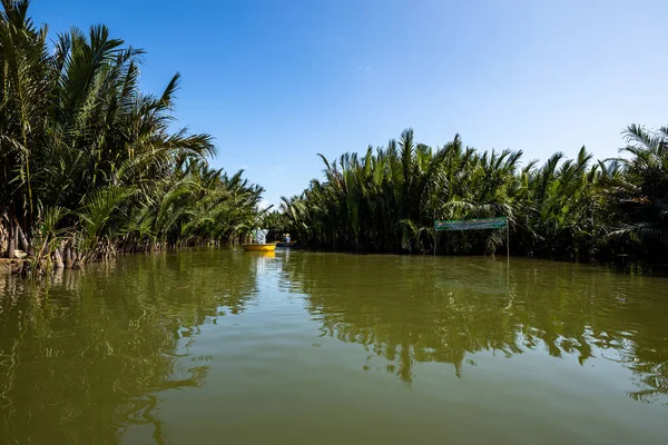 Palmy Řece Hoi Vietnamu — Stock fotografie