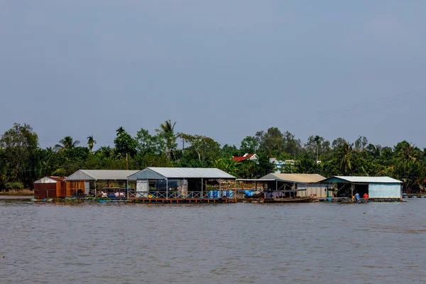Granja Peces Delta Del Mekong Vietnam — Foto de Stock