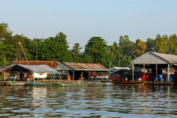 Allevamento Pesci Nel Delta Del Mekong Vietnam — Foto Stock