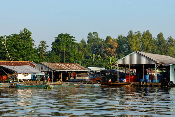 Ferme Piscicole Dans Delta Mékong Vietnam — Photo