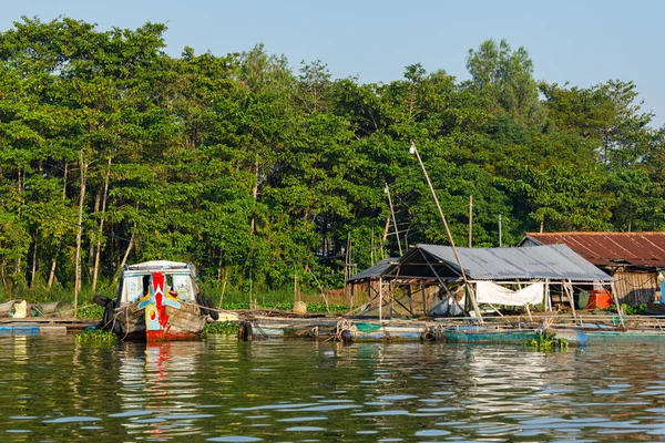 Allevamento Pesci Nel Delta Del Mekong Vietnam — Foto Stock