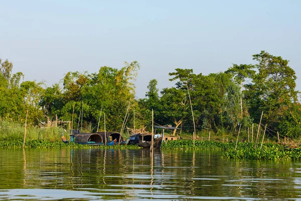 Los Pantanos Del Delta Del Mekong Vietnam — Foto de Stock