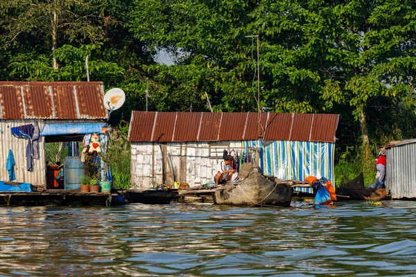 Fiskodling Vid Mekongdeltat Vietnam — Stockfoto