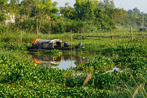 Träsket Vid Mekongdeltat Vietnam — Stockfoto