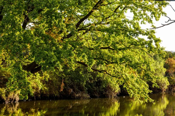 Flusslandschaft Der Werra Herbst — Stockfoto