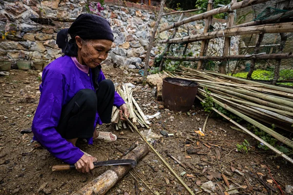 Alte Bäuerin Aus Vietnam — Stockfoto