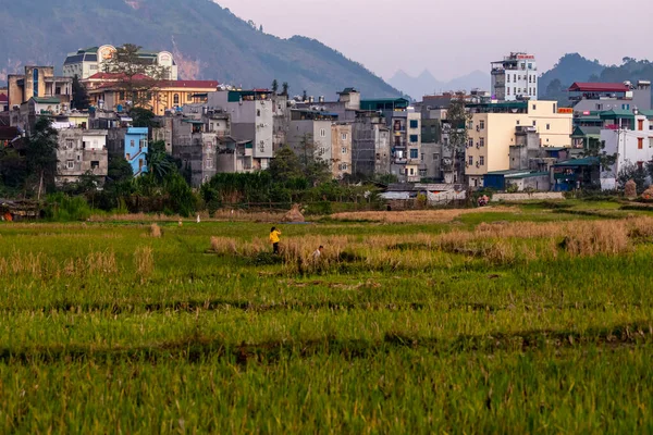 Ciudad Dong Van Circuito Giang Vietnam — Foto de Stock