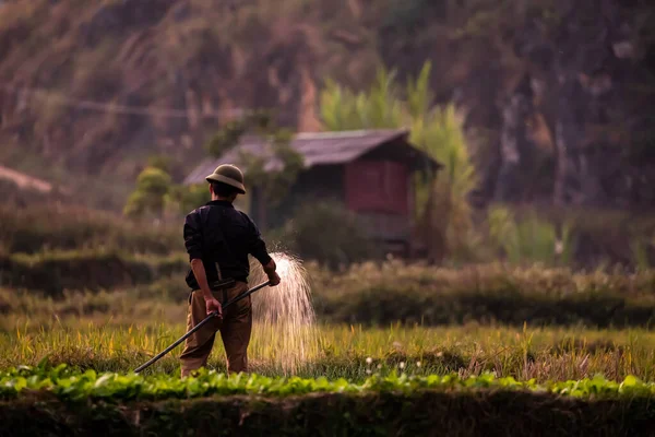 Ένας Αγρότης Ποτίζει Ένα Χωράφι Στο Ντονγκ Βαν Στο Βιετνάμ — Φωτογραφία Αρχείου