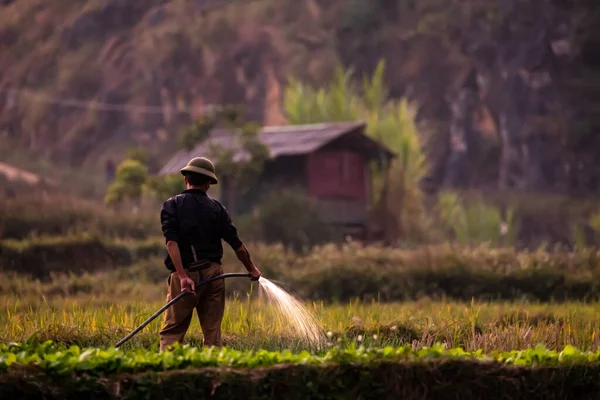 Agricultor Está Regar Campo Dong Van Vietname Aos Anos Novembro — Fotografia de Stock