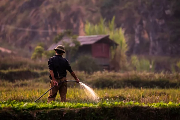 Agricoltore Sta Irrigando Campo Dong Van Vietnam Anni Novembre 2019 — Foto Stock