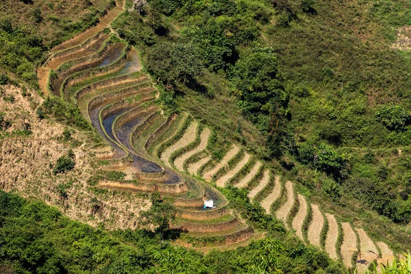 Rice Βεράντα Στο Τοπίο Του Giang Βρόχο Στο Βιετνάμ — Φωτογραφία Αρχείου