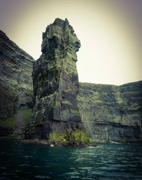 Acantilados Moher Birds Puffins —  Fotos de Stock