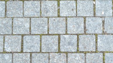 Kaldırımlar taşlar, köprü taş sonbahar parkta