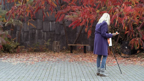 若い女の子が秋の公園で絵を描く — ストック写真