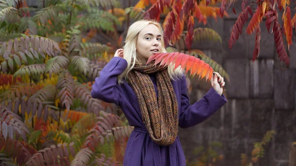 Portret połowa długości młoda kobieta w parku jesień z kolorowych liści — Zdjęcie stockowe