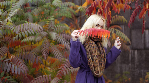The beautiful young girl with blonde hair in the purple coat in the autumn park, colorful leaves covering half of her face. Autumn concept