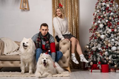 Köpekler Noel ağacı yakınındaki kanepede oturan çift