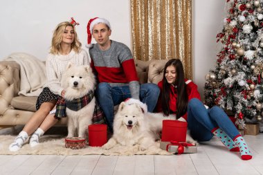 Mutlu Noel Baba şapkaları ve iki wite Noel Baba şapkaları köpeklerde de gençler