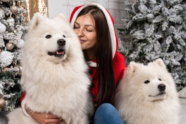 Santa kazaklı yere Noel ağacı ve beyaz sarılma köpekler yakın oturan genç Sevimli kız
